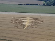 Kruhy v obilí: Lidský vandalismus, nebo mimozemská komunikace?