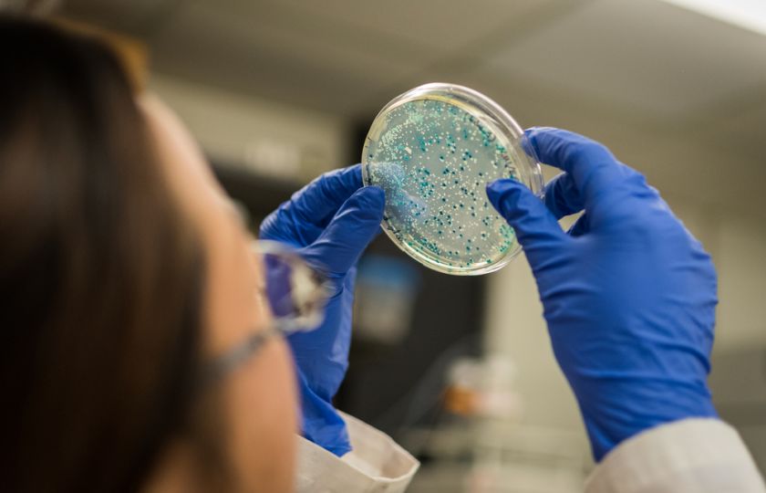 Na světě jsou bakterie, které „restartují“ mozek