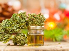 Konopí a Vánoce: Zapomenuté tradice jsou hodné znovuobjevení