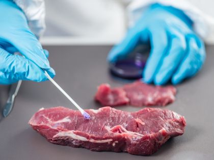 Jak jíst maso a nezabíjet? Genetika má odpověď