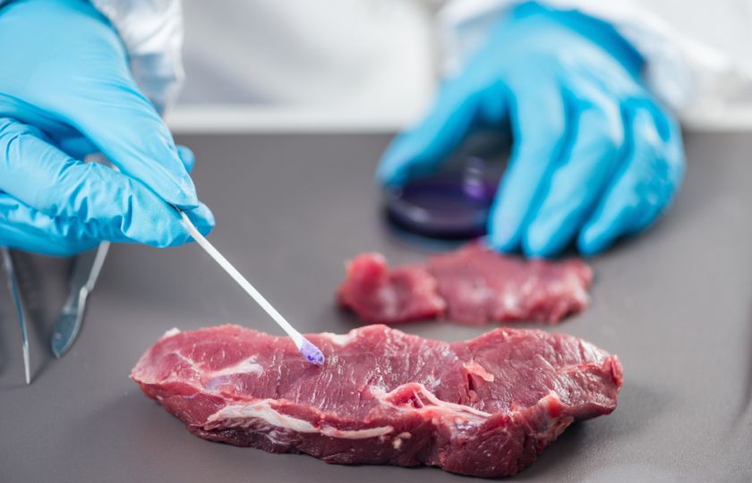Jak jíst maso a nezabíjet? Genetika má odpověď