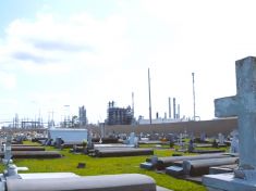 Země na talíři: Netradiční filmy o tom, co jíme. Doma a online