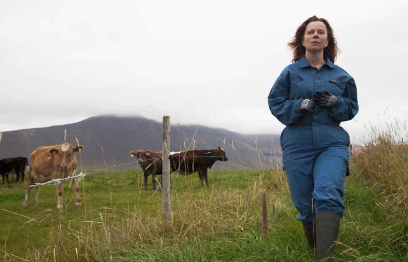 Daleko od Reykjavíku: Tvrdohlavá žena versus zkorumpovaní farmáři