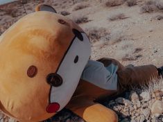 Proč si dávat nesmyslné cíle? Sami sebe můžete najít třeba i v masce medvěda