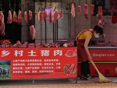 Viry bují hlavně na chudých předměstích bez hygieny. Dá se tomu zabránit?