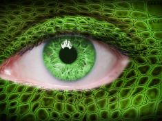 V období Ještěrky se věnujte více intuici i svým snům, radí mayský astrolog