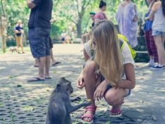 Opičky v Indonésii umějí krást i vyjednávat. Za mobil chtějí tučné výkupné