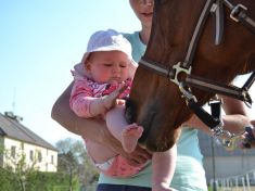 Hiporehabilitační koně mají nový přístřešek. Pomohla grantová výzva Pohybem pro dobrou věc