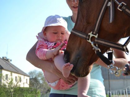 Hiporehabilitační koně mají nový přístřešek. Pomohla grantová výzva Pohybem pro dobrou věc