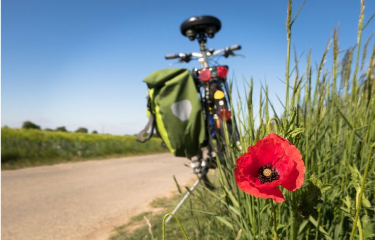 hubnuti nejen ve fitku ale i na dovolene obr text 2