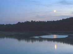 Novoluní v Rybách: Buďte věrní svým ideálům