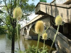 Mosty mají spojovat. Proč se hodně těch pražských rozpadá?