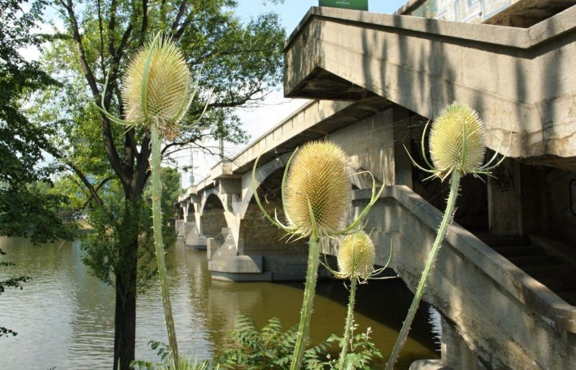 Mosty mají spojovat. Proč se hodně těch pražských rozpadá?