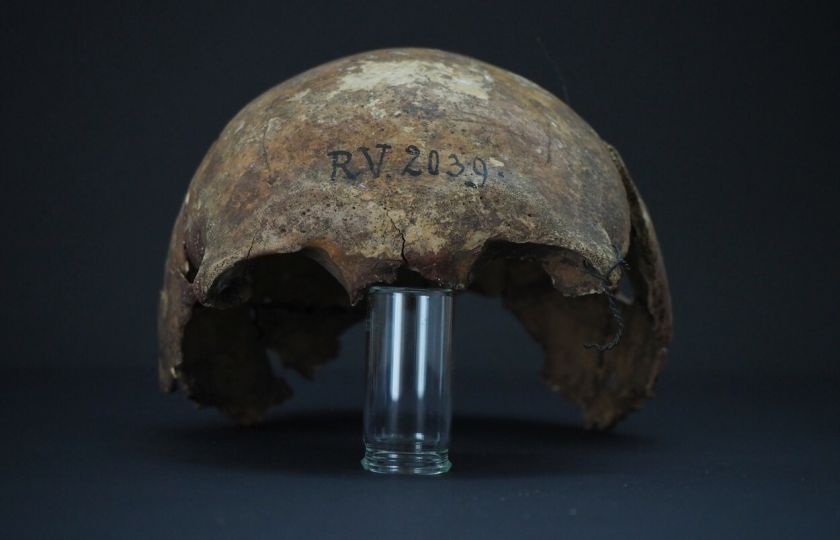 Nejstarší známá oběť moru: Nemoc byla v DNA lovce, který zahynul před 5 000 lety