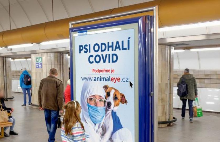 Na výzkum a využití psů, kteří umí odhalit i covid-19, se vybralo víc než 200 tisíc