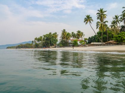 Sierra Leone prodala pláž i s pralesem Číňanům. Ti chystají továrnu na rybí moučku
