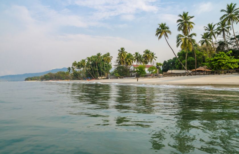Sierra Leone prodala pláž i s pralesem Číňanům. Ti chystají továrnu na rybí moučku