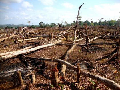 Amazonie už není plícemi planety. Produkuje víc uhlíku, než dokáže absorbovat