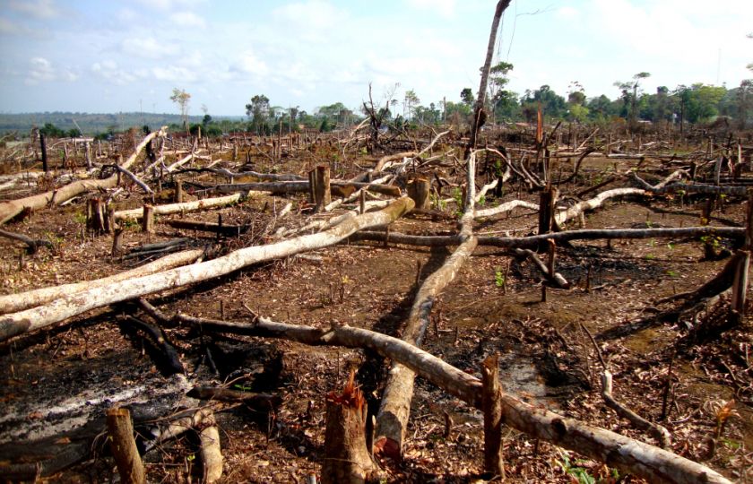 Amazonie už není plícemi planety. Produkuje víc uhlíku, než dokáže absorbovat