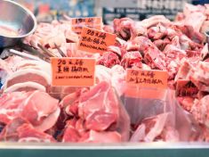 Kde se vzal koronavirus? Podle vyšetřovatelů WHO jeho šíření pomohla zmražená zvířata