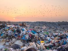 Konec plýtvání a nežádoucího odpadu: Vezměte udržitelnost do vlastních rukou