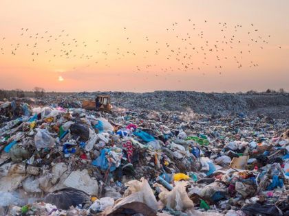 Konec plýtvání a nežádoucího odpadu: Vezměte udržitelnost do vlastních rukou