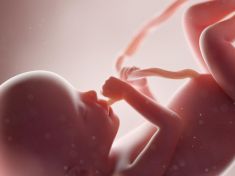 Dostanou nás, ještě než se narodíme. Mikroplasty se objevují už v placentách