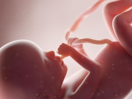 Římská studie: Mikroplasty se objevují už v placentách u nenarozených dětí