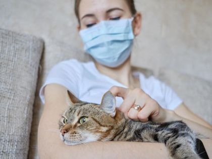 Nová varianta koronaviru v Británii zřejmě spustila srdeční problémy psů a koček