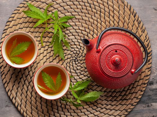 Lahodný čaj s CBD: Rituál zdraví a harmonie pro každý den