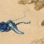 Australské pláže terorizují kolonie záhadných bolestivě žahavých měchýřovek