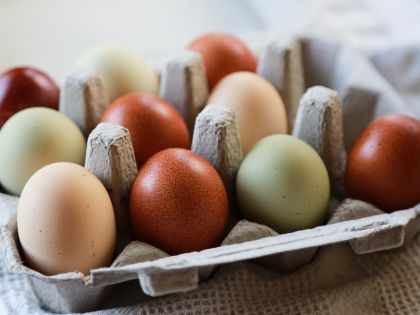 Proč mají vajíčka různě zbarvené skořápky? A jsou ta hnědá kvalitnější?