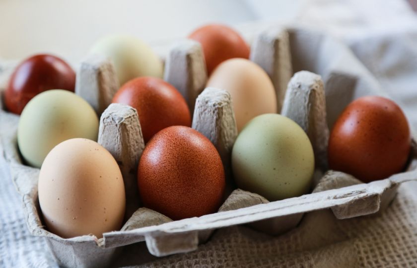 Proč mají slepičí vejce různé barvy? A souvisí barva skořápky s kvalitou obsahu?