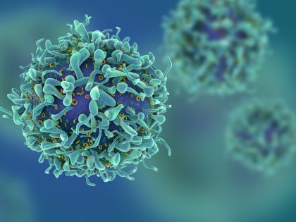 Blíží se šetrná léčba rakoviny? Vědci učí imunitní buňky proniknout do nádorů