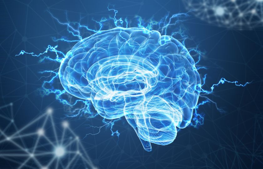 Sedm mýtů o mozku a čip: Proč se lidé tak rádi opájí „neurobullshity“