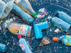 Měli bychom uvažovat jako indiáni, planetu B nemáme, říká ekolog