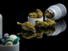 České konopí je zpět v lékárnách. Cenu to ale nesrazilo