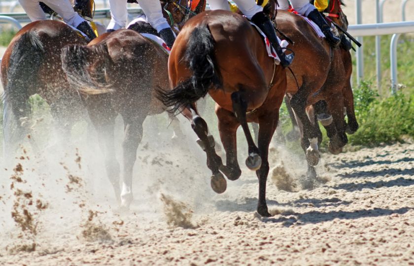Jsou koně opravdu soutěživí? A proč tedy mezi sebou nezávodí, kdykoli se jim zachce?
