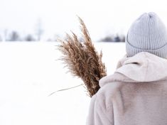 Astrolog: V čase Byliny a Cesty hýčkejte své tělo a rozjímejte, kam v životě dál