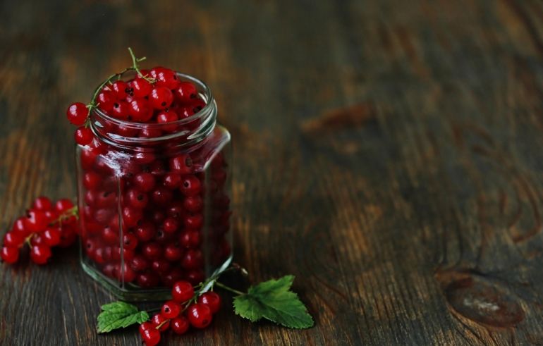 cerveny rybiz shutterstock 662549020