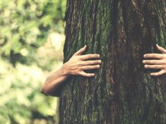 Tomáš Sedláček: Stavba hranic mezi člověkem a přírodou 