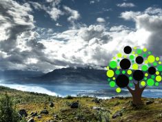 Peníze na stromě nerostou, ale oblečení na něm utrhnete