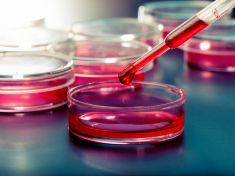 Výzkumníci slaví: Krevní test odhalí rakovinu předtím, než se rozšíří