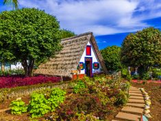 To nejlepší z Madeiry. Levády a proutěné saně, na lenošení zapomeňte