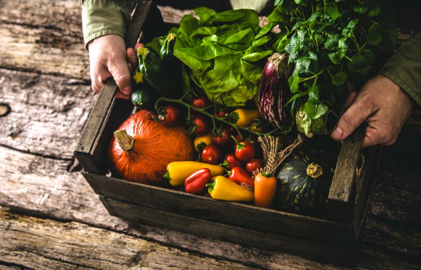 BIO strava snižuje objem pesticidů v těle až o 90 % za jeden týden