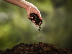 Zelený pohřeb je čím dál oblíbenější. Šetří přírodu i city pozůstalých