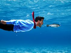 EFSA varuje před konzumací dravých ryb, často pocházejí ze zamořených lokalit