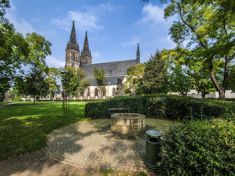 Chcete podpis od českého hráče NBA? Zamiřte v neděli na Prague Food Festival!
