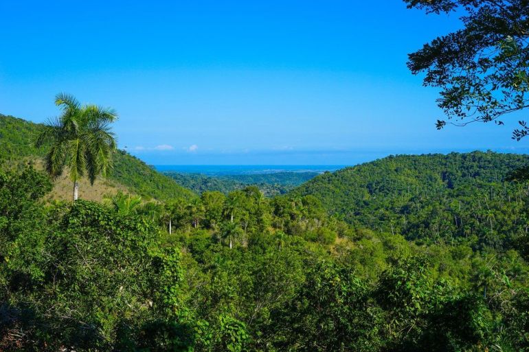 profimedia 0277818121