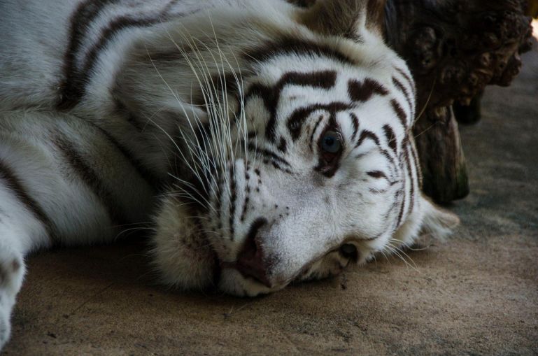 profimedia 0346597288